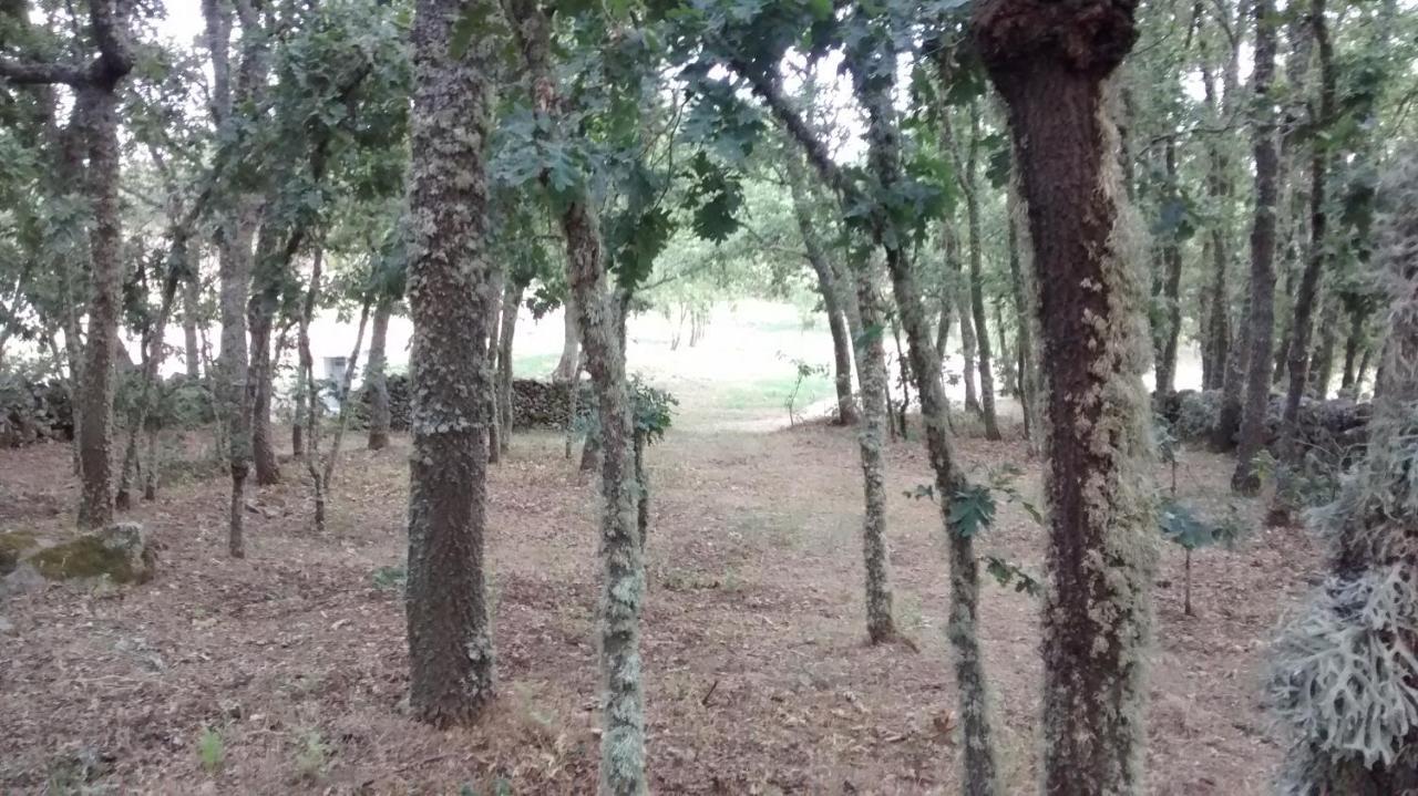 Hotel Las Casitas De Las Arribes Aldeadávila de la Ribera Esterno foto